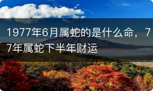1977年6月属蛇的是什么命，77年属蛇下半年财运
