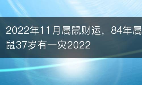 2022年11月属鼠财运，84年属鼠37岁有一灾2022