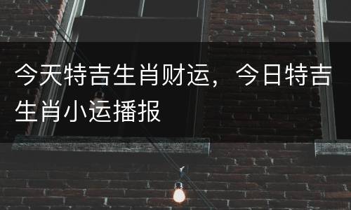 今天特吉生肖财运，今日特吉生肖小运播报