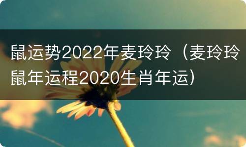 鼠运势2022年麦玲玲（麦玲玲鼠年运程2020生肖年运）