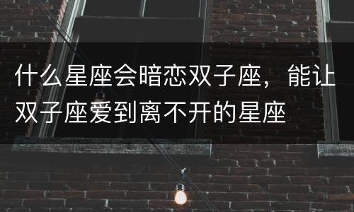 什么星座会暗恋双子座，能让双子座爱到离不开的星座