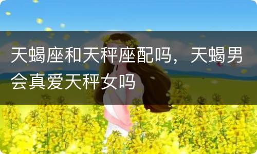 天蝎座和天秤座配吗，天蝎男会真爱天秤女吗