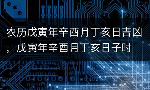 农历戊寅年辛酉月丁亥日吉凶，戊寅年辛酉月丁亥日子时