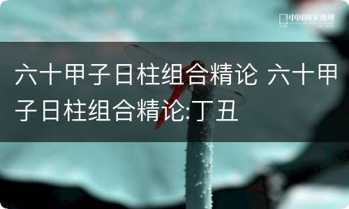 六十甲子日柱组合精论 六十甲子日柱组合精论:丁丑