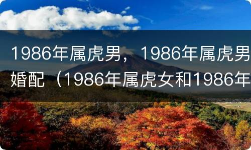 1986年属虎男，1986年属虎男婚配（1986年属虎女和1986年虎男婚配吗?）
