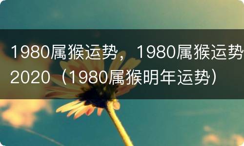 1980属猴运势，1980属猴运势2020（1980属猴明年运势）