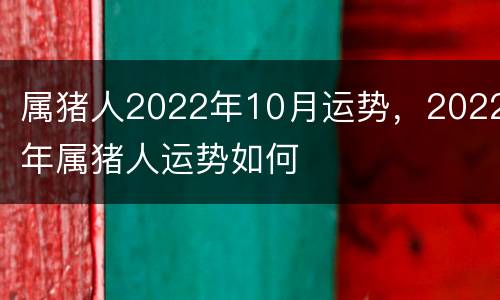 属猪人2022年10月运势，2022年属猪人运势如何