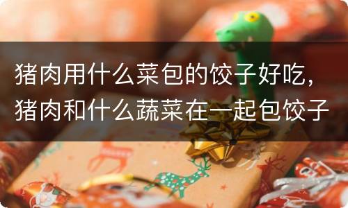 猪肉用什么菜包的饺子好吃，猪肉和什么蔬菜在一起包饺子馅好吃？