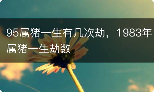 95属猪一生有几次劫，1983年属猪一生劫数