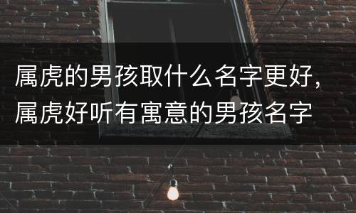 属虎的男孩取什么名字更好，属虎好听有寓意的男孩名字