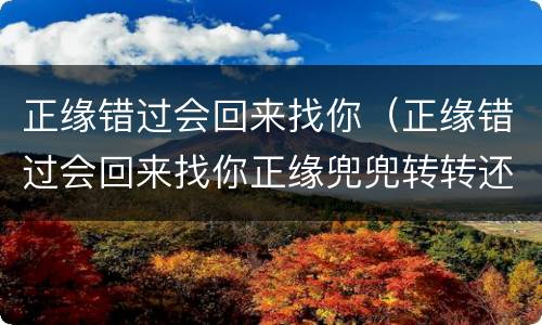 正缘错过会回来找你（正缘错过会回来找你正缘兜兜转转还会回来）
