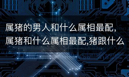 属猪的男人和什么属相最配，属猪和什么属相最配,猪跟什么生肖配