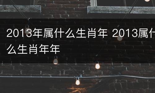 2013年属什么生肖年 2013属什么生肖年年