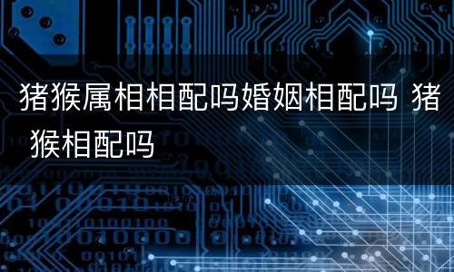 猪猴属相相配吗婚姻相配吗 猪 猴相配吗