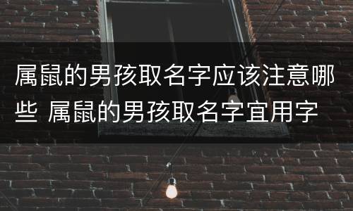 属鼠的男孩取名字应该注意哪些 属鼠的男孩取名字宜用字