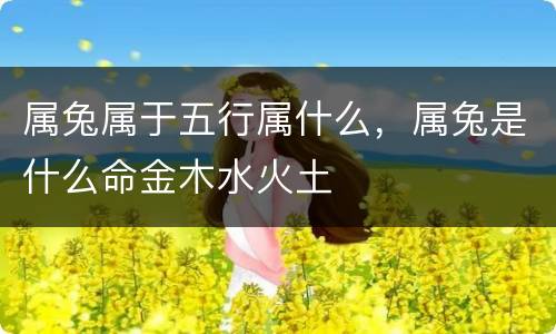 属兔属于五行属什么，属兔是什么命金木水火土