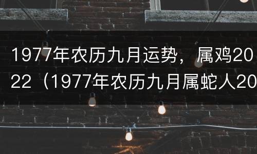 1977年农历九月运势，属鸡2022（1977年农历九月属蛇人2020年运势）