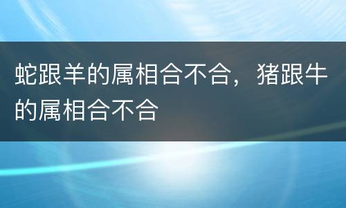 蛇跟羊的属相合不合，猪跟牛的属相合不合