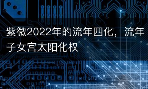 紫微2022年的流年四化，流年子女宫太阳化权