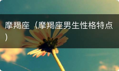 摩羯座（摩羯座男生性格特点）