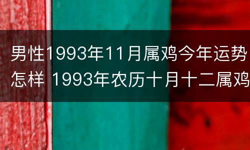 男性1993年11月属鸡今年运势怎样 1993年农历十月十二属鸡的一生运势
