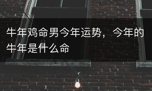 牛年鸡命男今年运势，今年的牛年是什么命