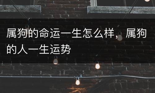 属狗的命运一生怎么样，属狗的人一生运势