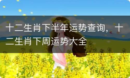 十二生肖下半年运势查询，十二生肖下周运势大全