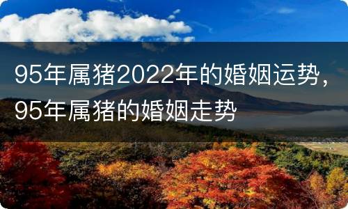 95年属猪2022年的婚姻运势，95年属猪的婚姻走势