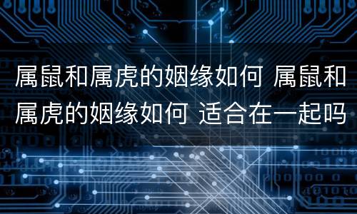 属鼠和属虎的姻缘如何 属鼠和属虎的姻缘如何 适合在一起吗