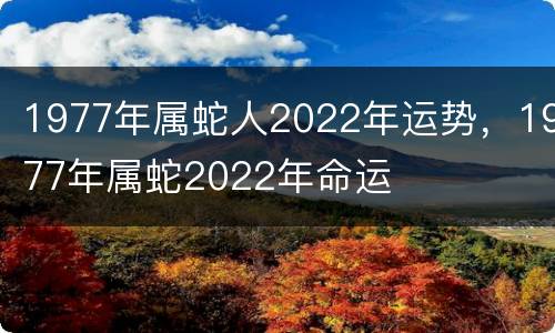 1977年属蛇人2022年运势，1977年属蛇2022年命运