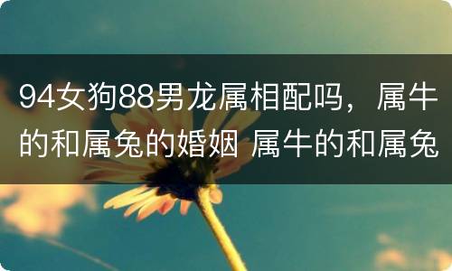 94女狗88男龙属相配吗，属牛的和属兔的婚姻 属牛的和属兔的