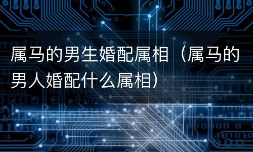 属马的男生婚配属相（属马的男人婚配什么属相）