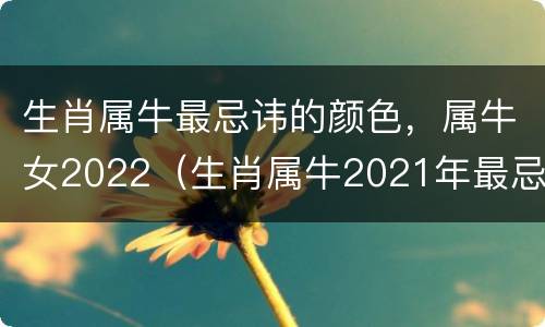 生肖属牛最忌讳的颜色，属牛女2022（生肖属牛2021年最忌讳的颜色）