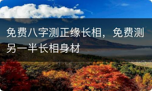 免费八字测正缘长相，免费测另一半长相身材