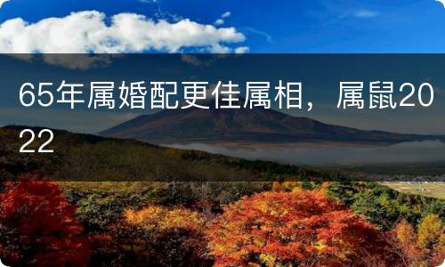 65年属婚配更佳属相，属鼠2022