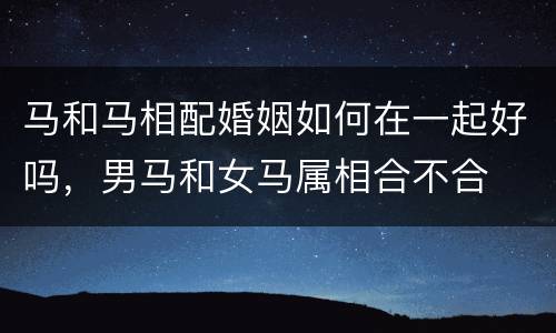 马和马相配婚姻如何在一起好吗，男马和女马属相合不合