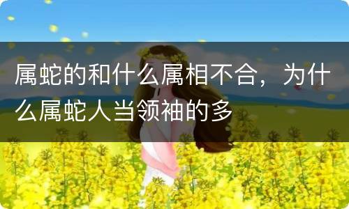 属蛇的和什么属相不合，为什么属蛇人当领袖的多