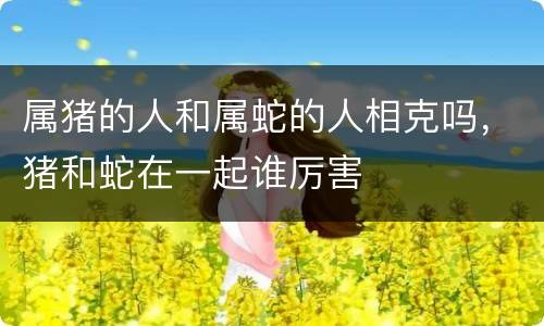 属猪的人和属蛇的人相克吗，猪和蛇在一起谁厉害