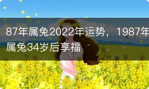 87年属兔2022年运势，1987年属兔34岁后享福