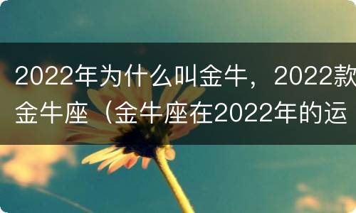 2022年为什么叫金牛，2022款金牛座（金牛座在2022年的运势）