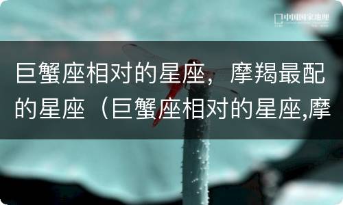 巨蟹座相对的星座，摩羯最配的星座（巨蟹座相对的星座,摩羯最配的星座是什么）