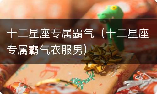 十二星座专属霸气（十二星座专属霸气衣服男）