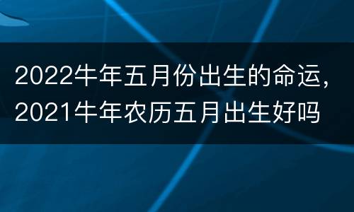 2022牛年五月份出生的命运，2021牛年农历五月出生好吗