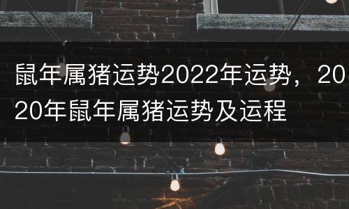 鼠年属猪运势2022年运势，2020年鼠年属猪运势及运程