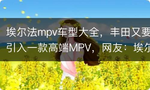 埃尔法mpv车型大全，丰田又要引入一款高端MPV，网友：埃尔法变弟弟了