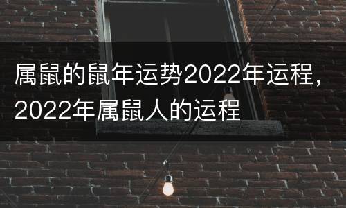 属鼠的鼠年运势2022年运程，2022年属鼠人的运程