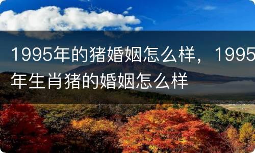1995年的猪婚姻怎么样，1995年生肖猪的婚姻怎么样