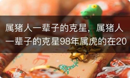 属猪人一辈子的克星，属猪人一辈子的克星98年属虎的在2020年考学怎样
