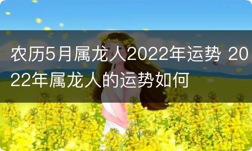 农历5月属龙人2022年运势 2022年属龙人的运势如何